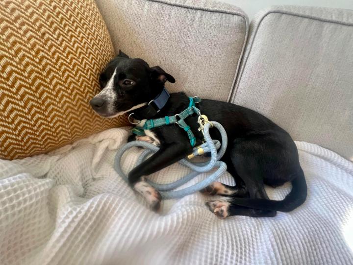 Little Girl thumbnail 3