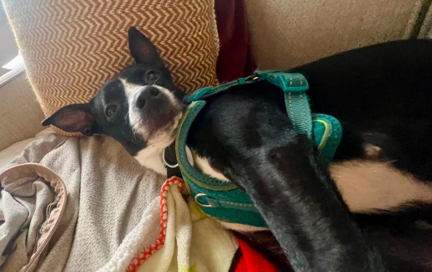 Little Girl thumbnail 6