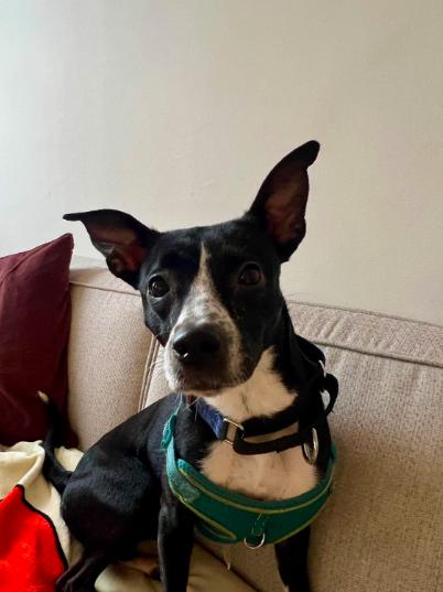 Little Girl thumbnail 7