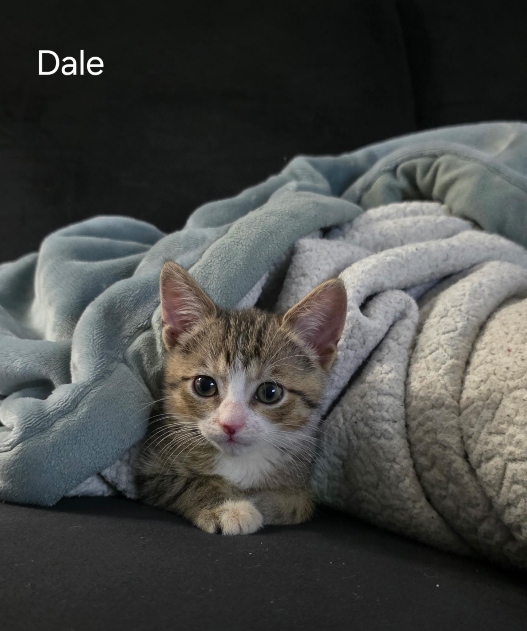 Dale- Best Friends with Her