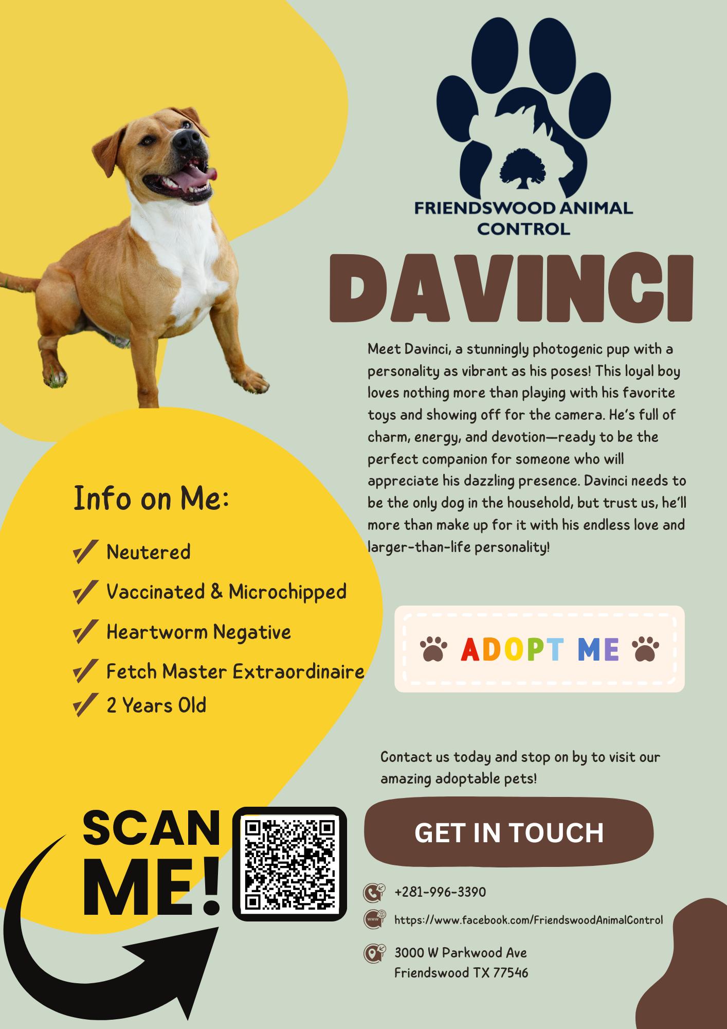 Davinci 2