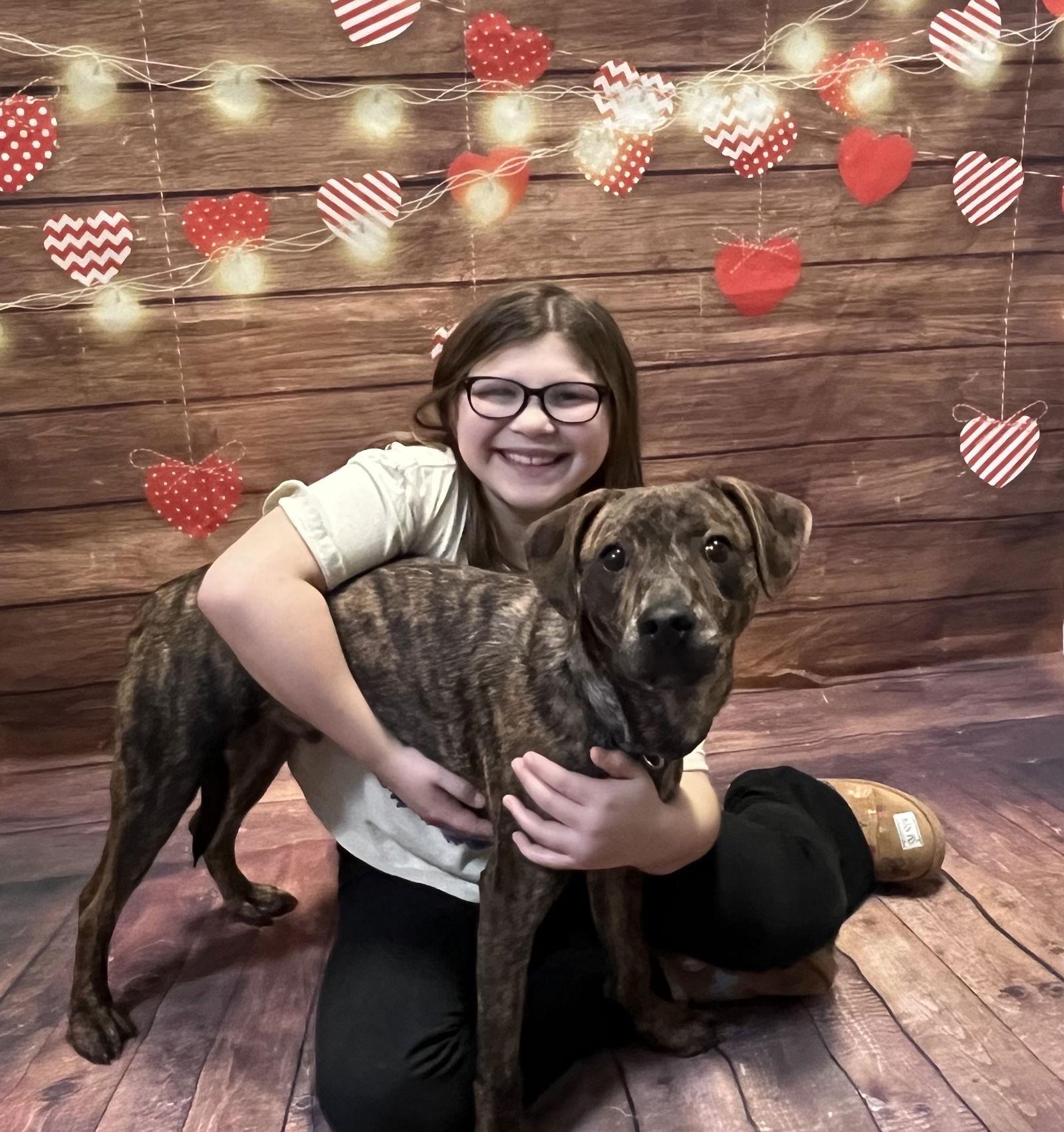 Gus, a Adopted Mountain Cur in Lake Hopatcong, NJ image 2/3