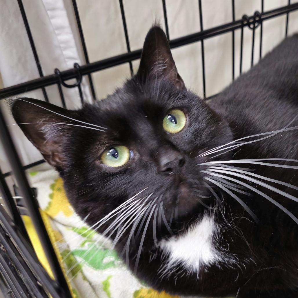 Michi — thumbnail 4