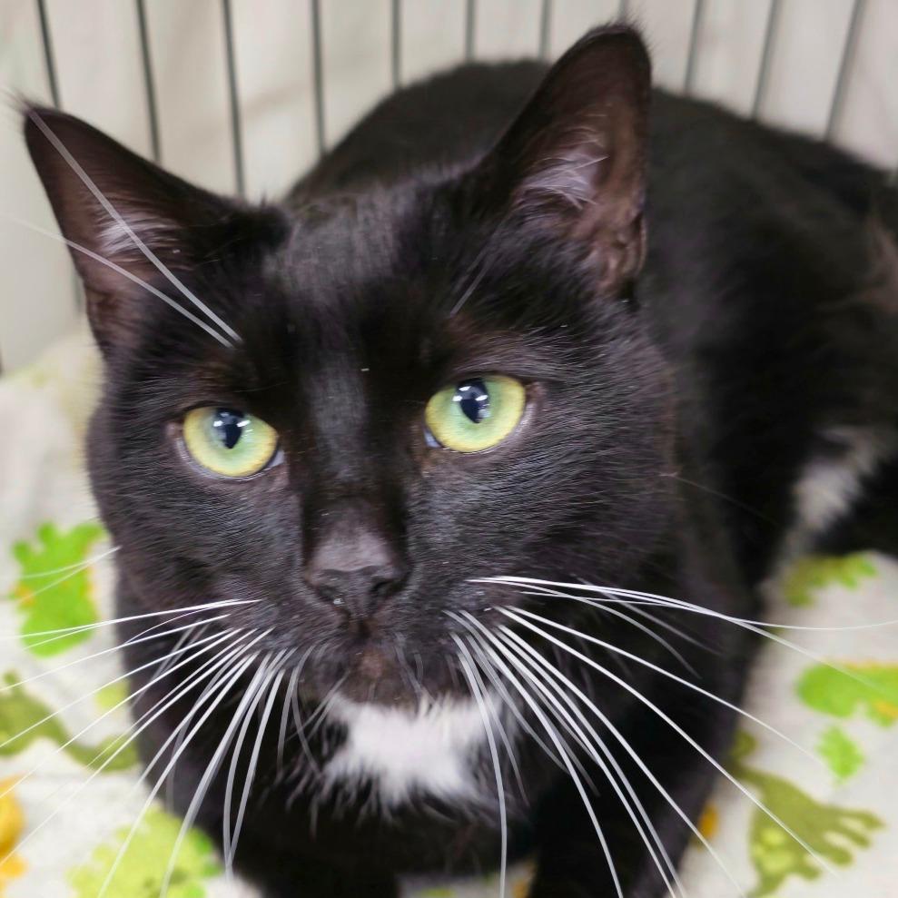 Michi — thumbnail 5