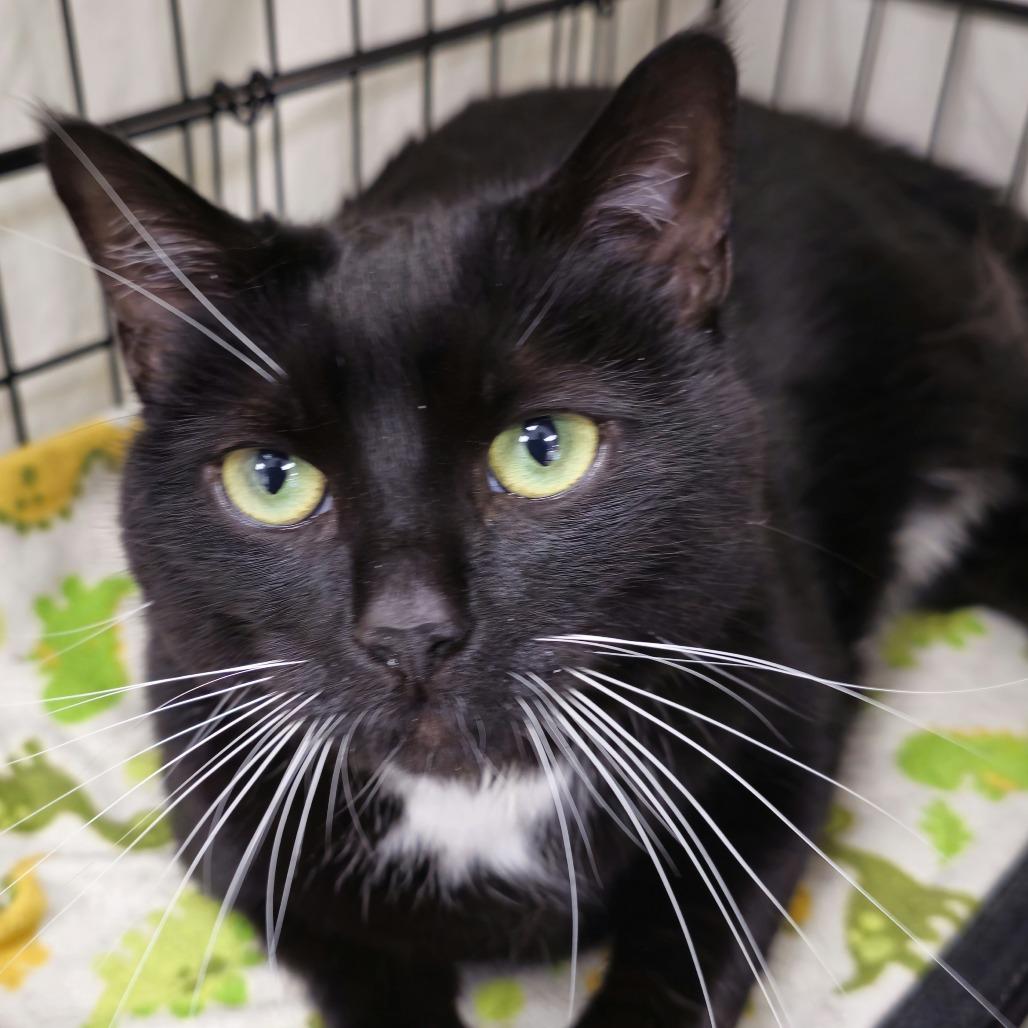 Michi — thumbnail 6