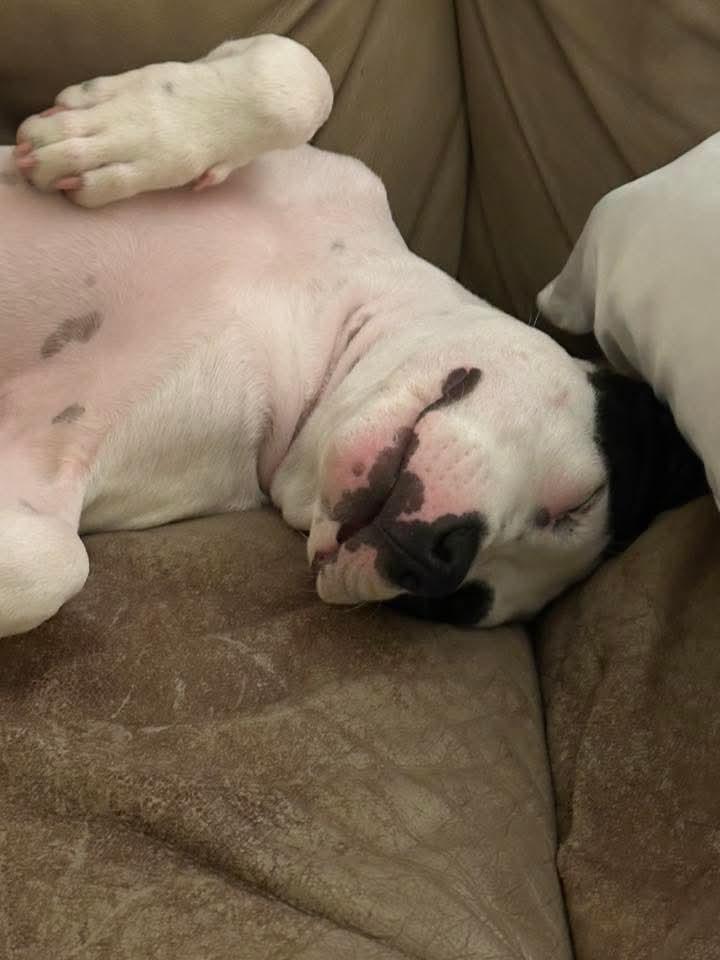 Petey