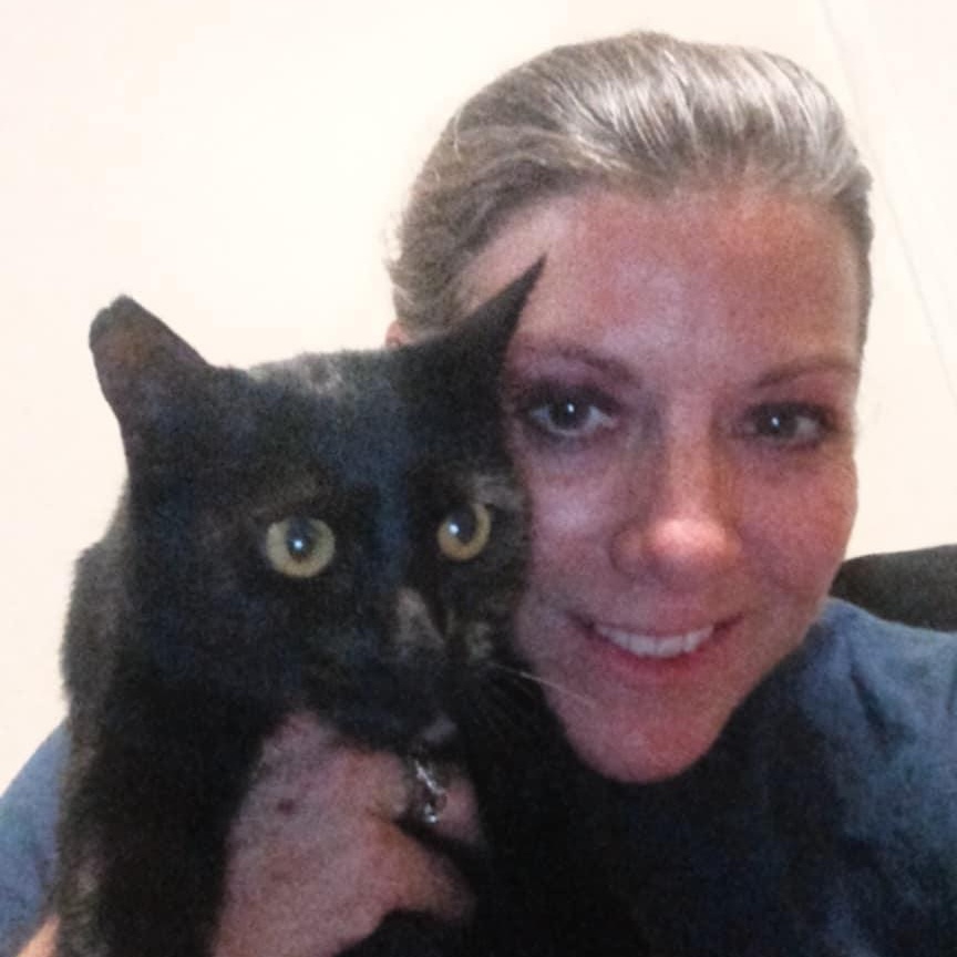 Enlarge Essie, a Adoptable mixed breed in Antioch, CA image 6/6