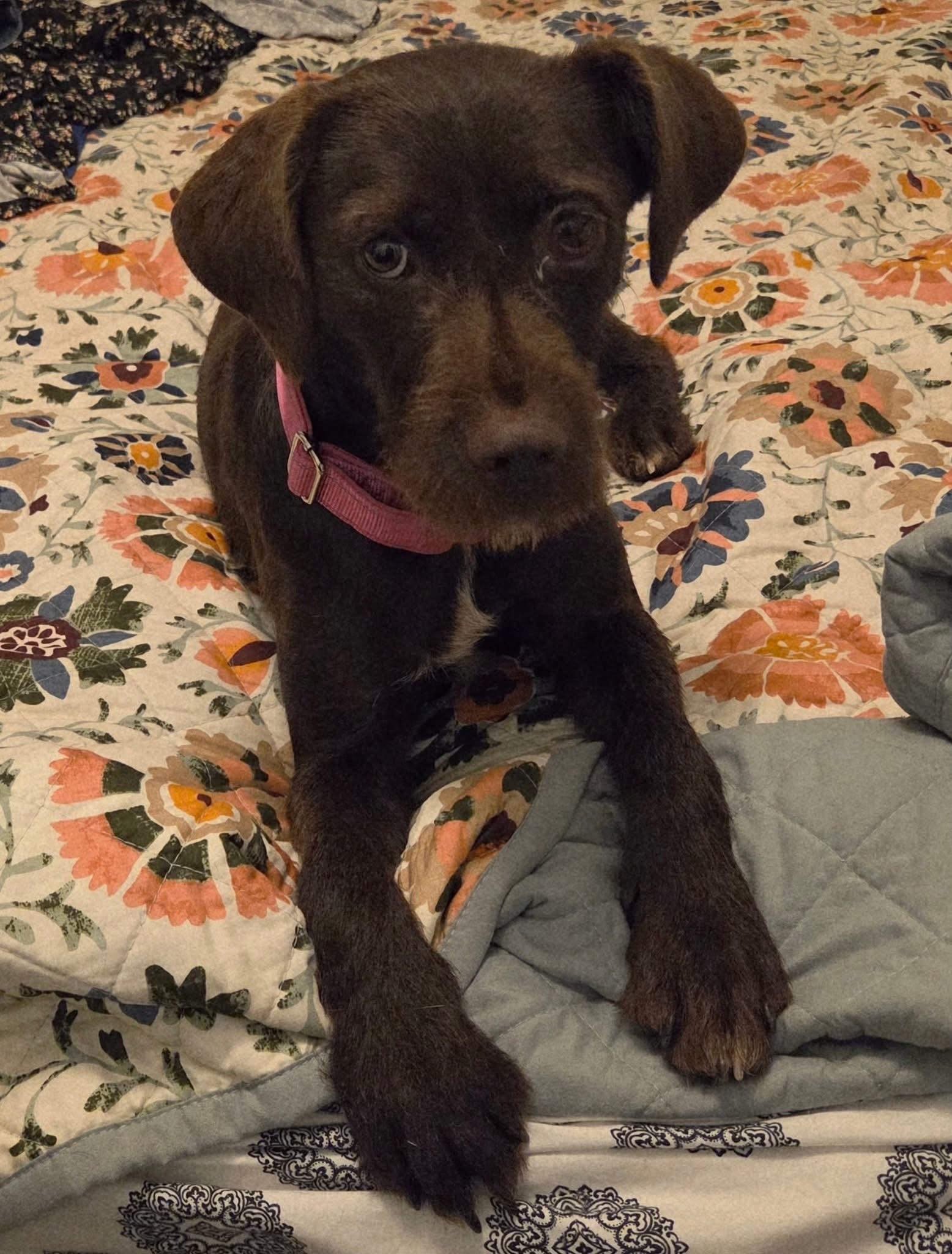 Zoey