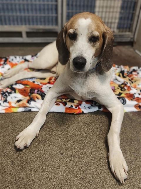 RUSSELL — thumbnail 2