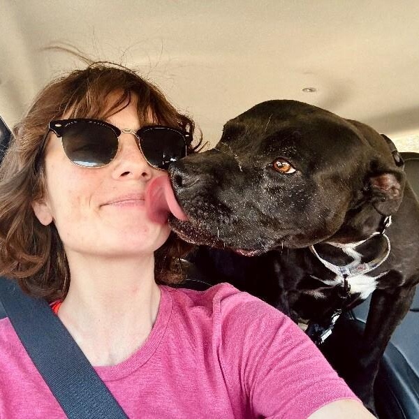 Polly Anna the Princess of lap snuggles and giggles — thumbnail 3