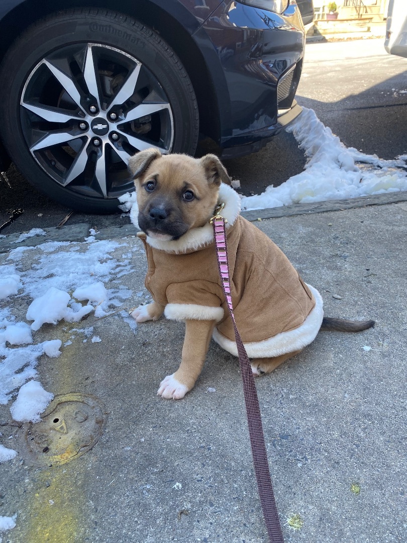 Lola