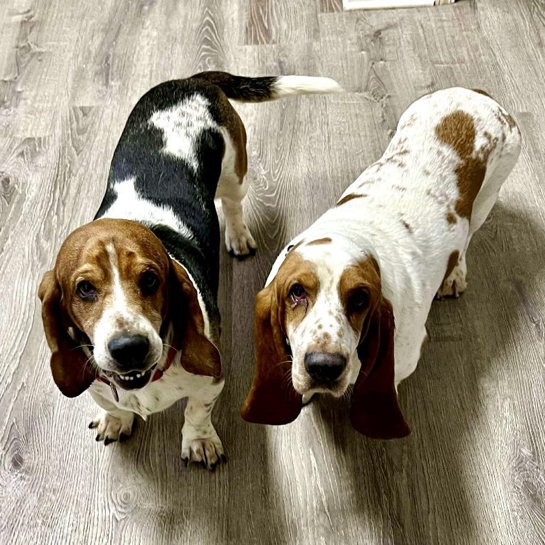 Tubbs and Crockett