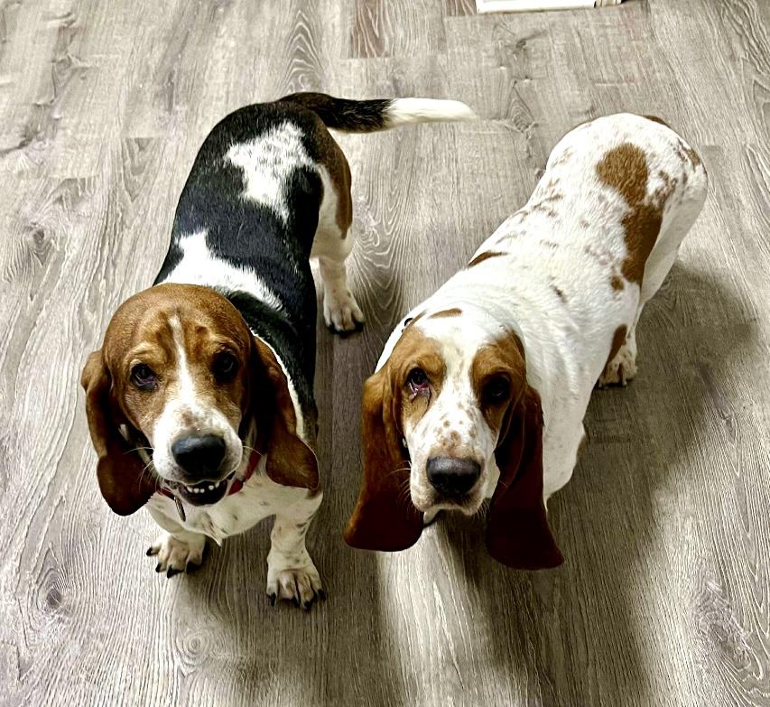 Tubbs and Crockett
