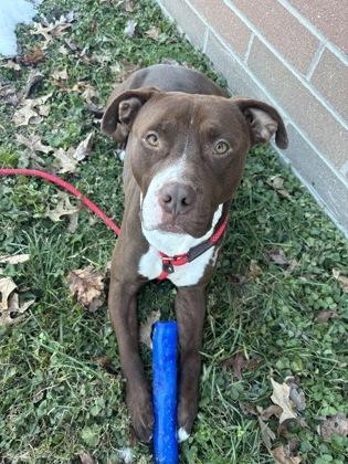 Big Boy — thumbnail 3