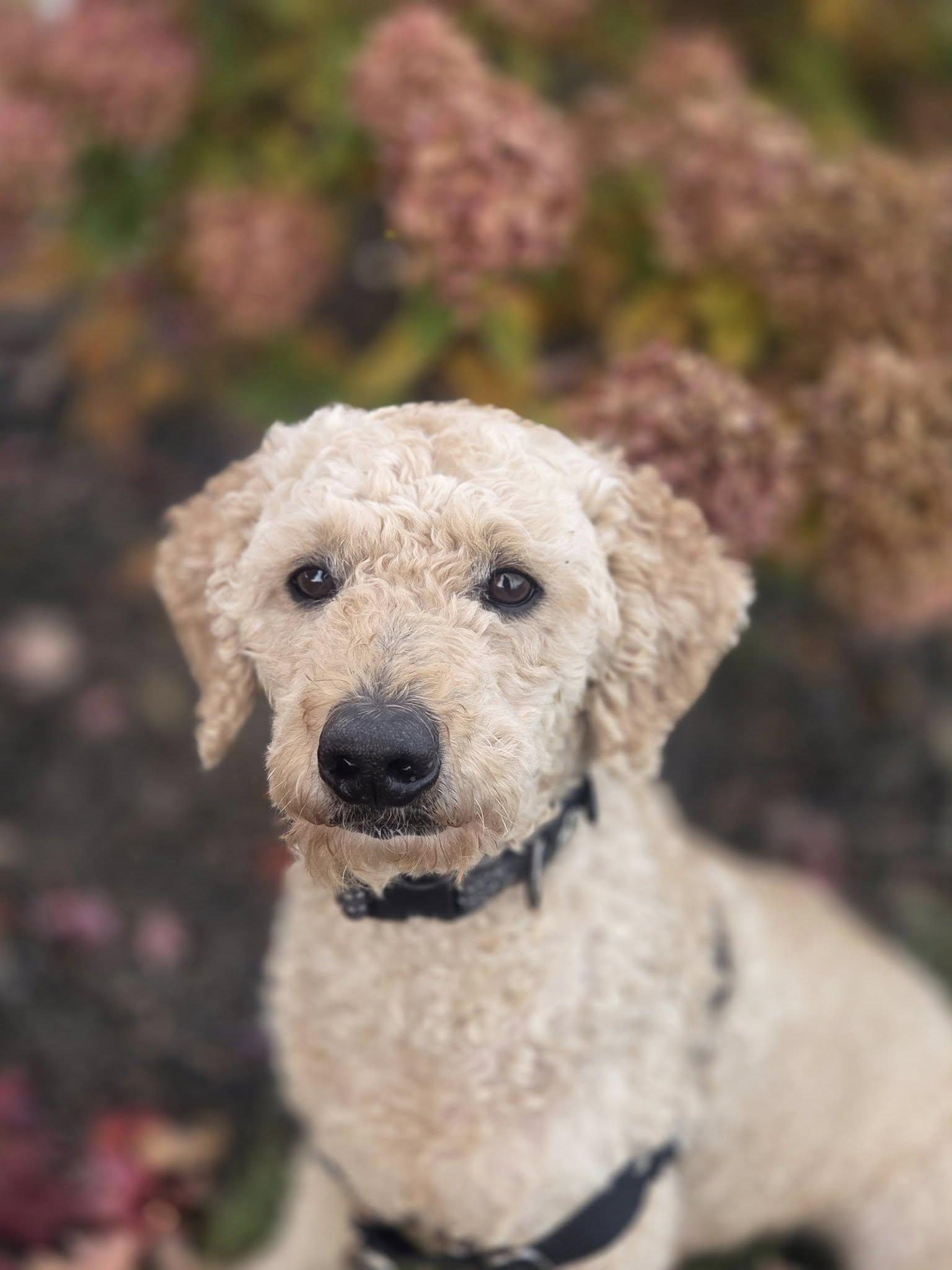 Sinatra-Home Visit in Process