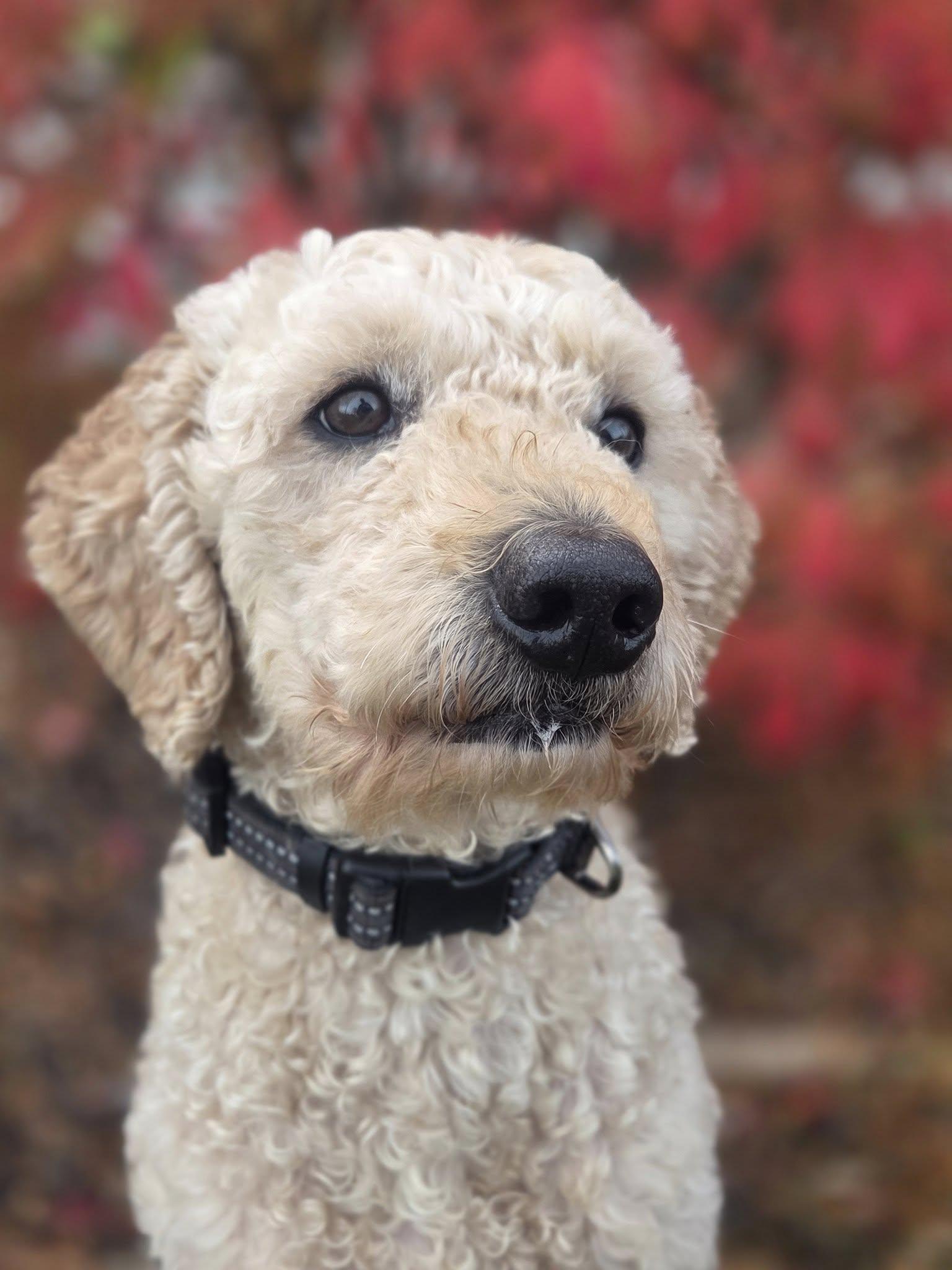 Sinatra-Home Visit in Process