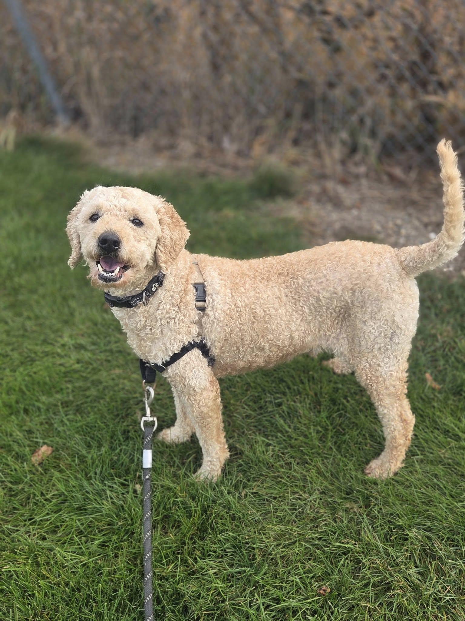 Sinatra-Home Visit in Process