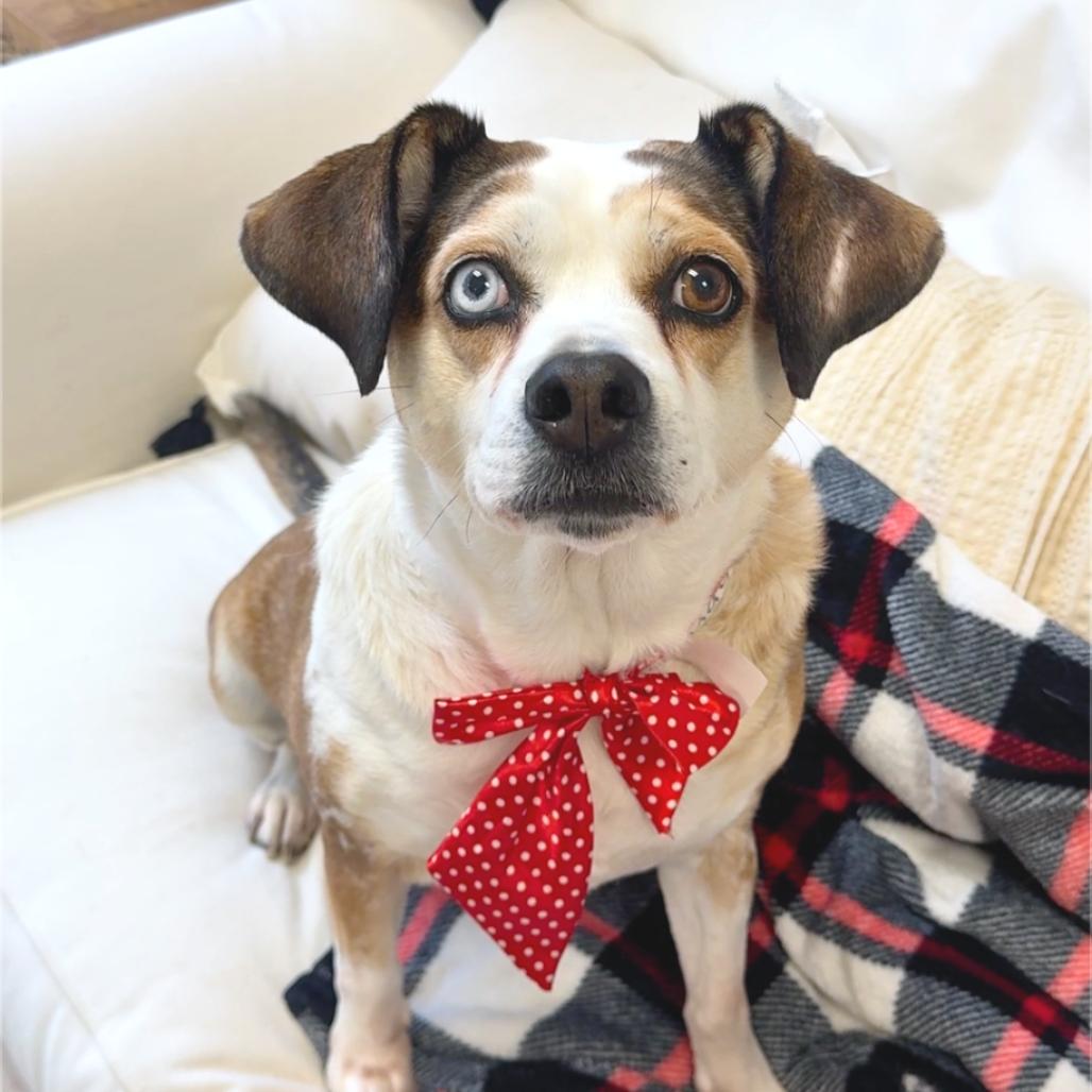 Judy Lin/Maggie — thumbnail 2