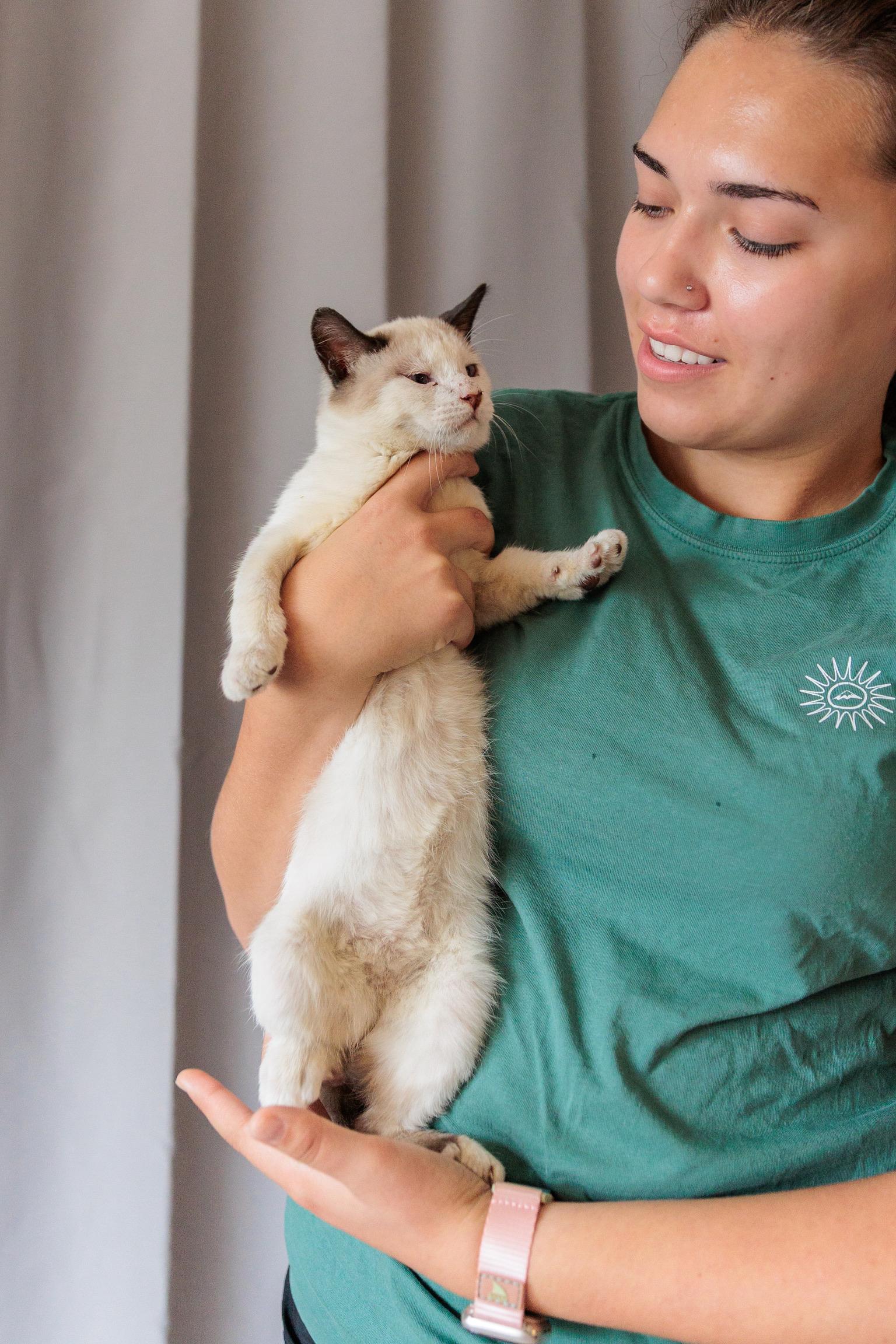 Winter, an adopted mixed breed in Gainesville, VA image 2/5