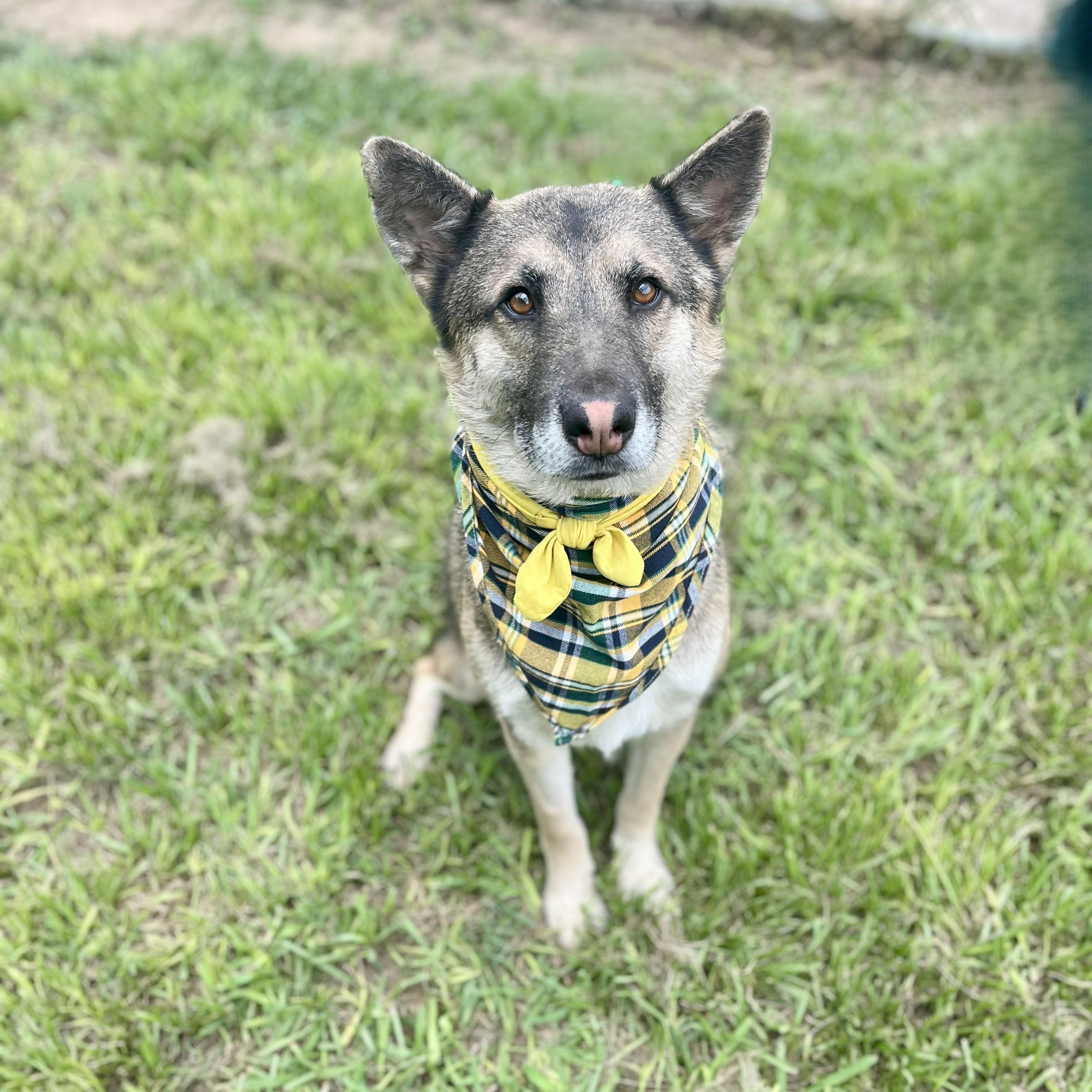 Nissan — thumbnail 6