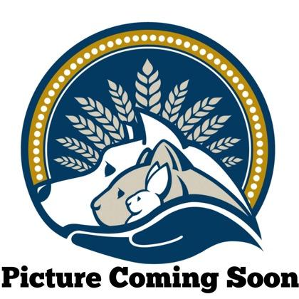 Enlarge Doug, a Adoptable mixed breed in Wheaton, IL image 1/1