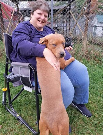 Enlarge Grumpy, a Adoptable mixed breed in Clinton, ME image 6/6