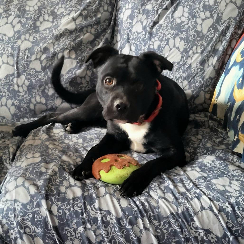 Ian TE — thumbnail 2