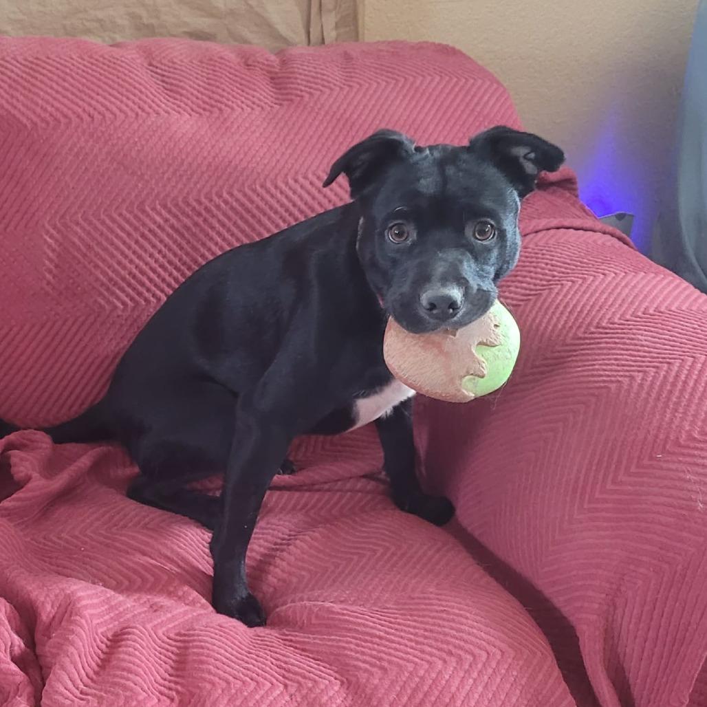 Ian TE — thumbnail 3