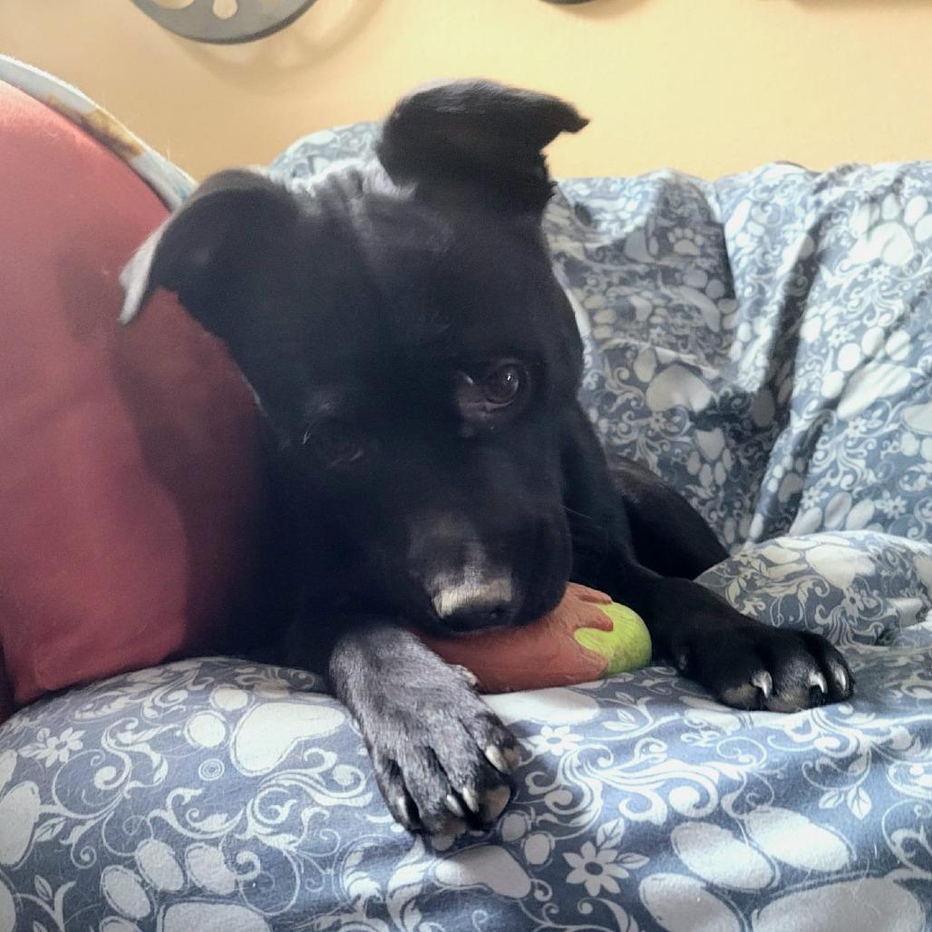 Ian TE — thumbnail 4