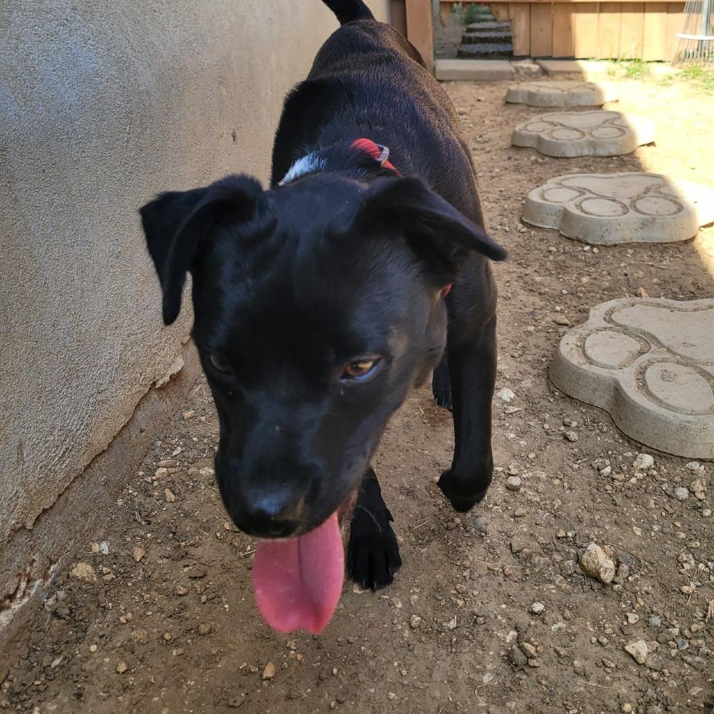 Ian TE — thumbnail 6