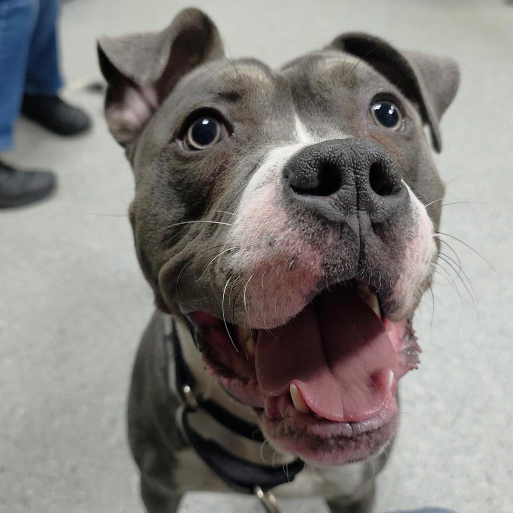 Squee — thumbnail 2