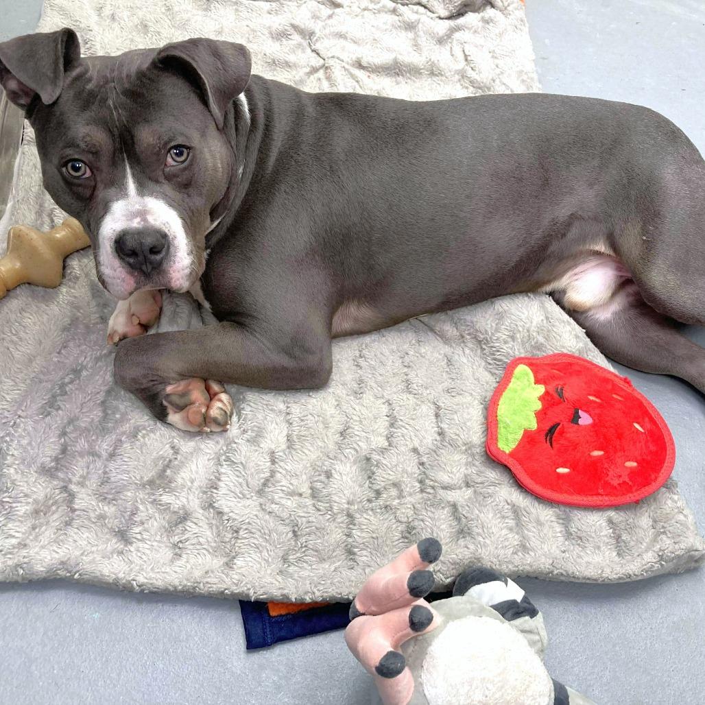 Squee — thumbnail 6