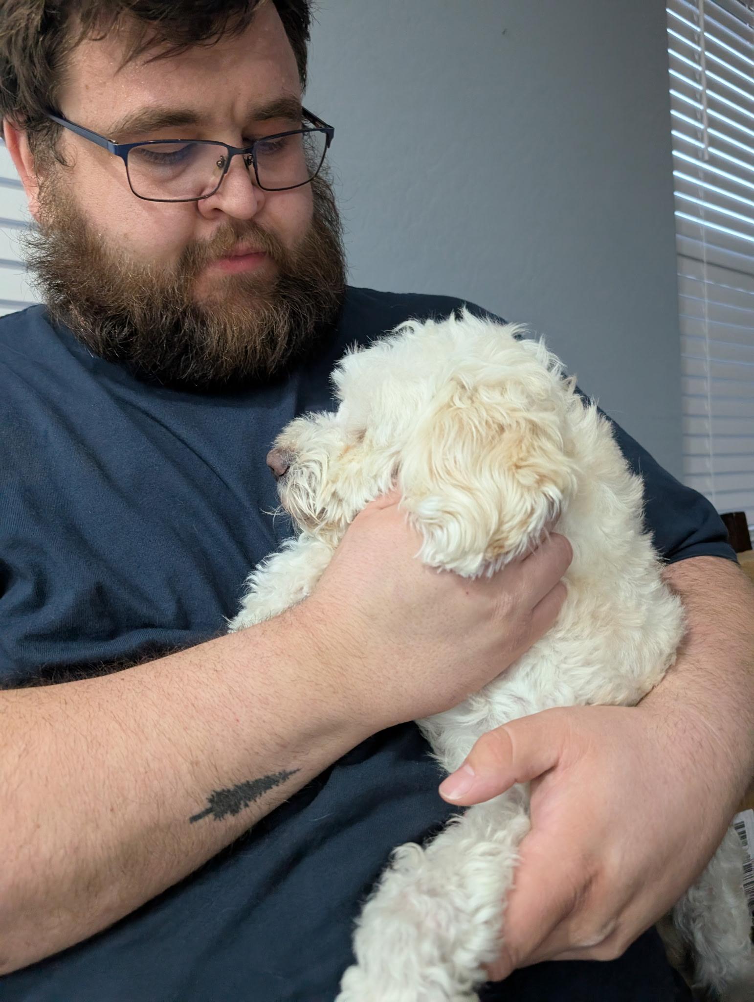 Enlarge Oliver, an adopted mixed breed in Casa Grande, AZ image 4/6