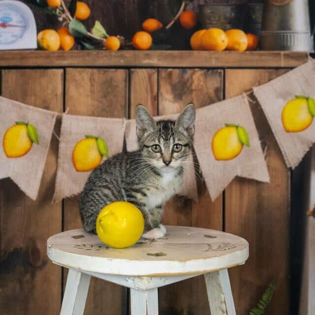 Freya photo 4