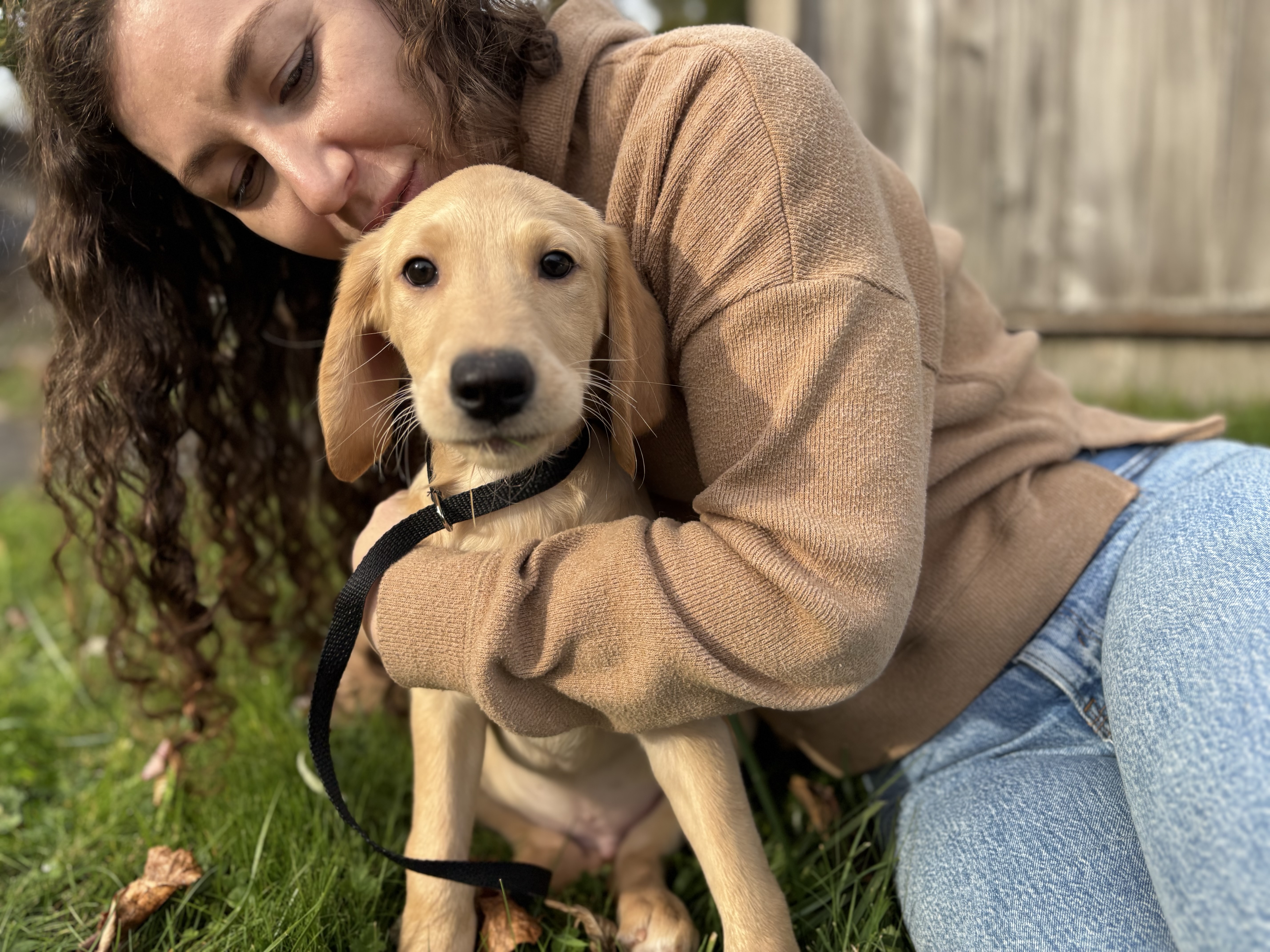 Mitchell, a Adopted mixed breed in Snoqualmie, WA image 2/7