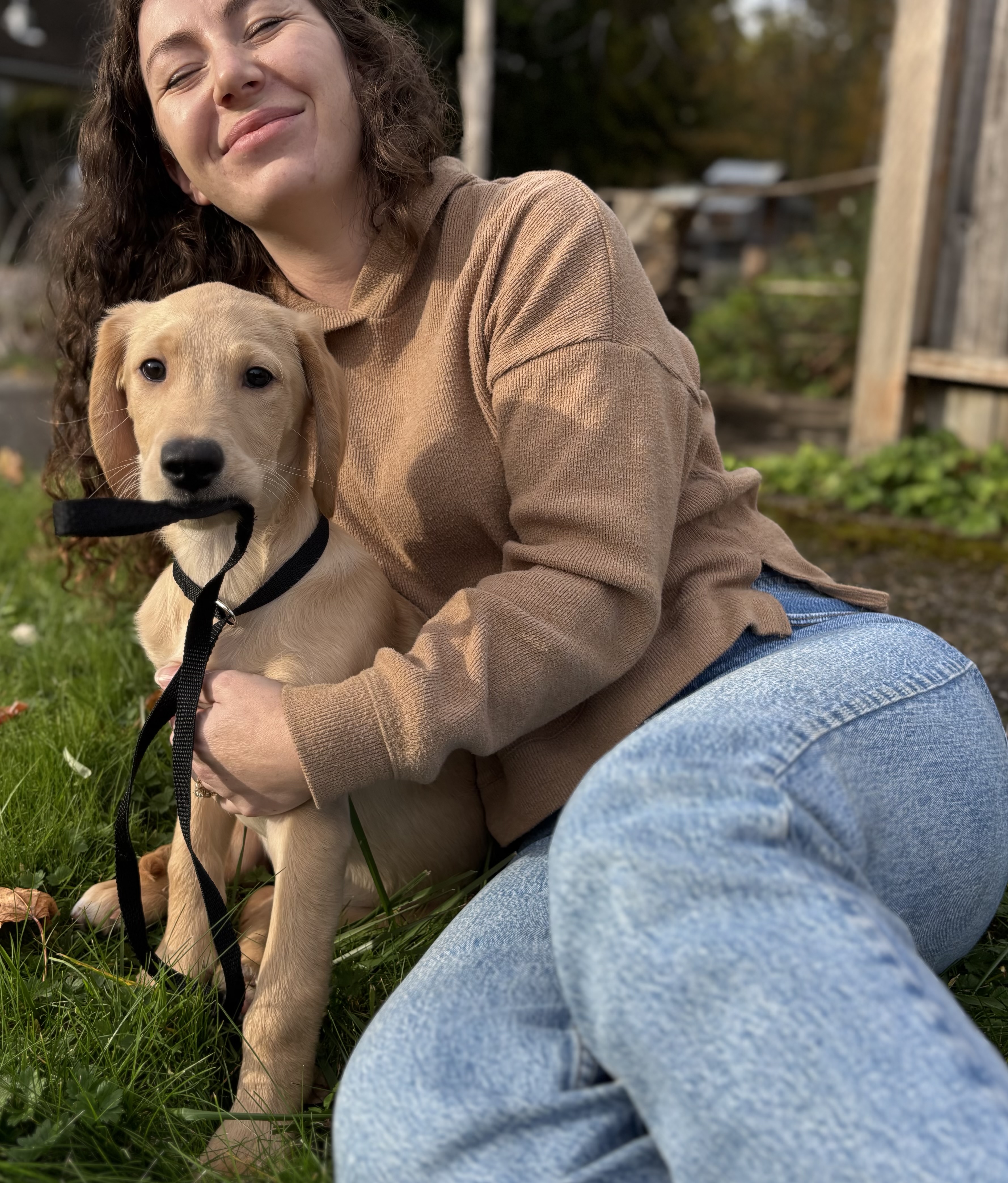 Mitchell, a Adopted mixed breed in Snoqualmie, WA image 4/7