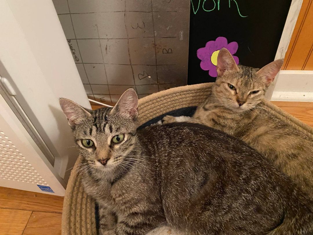 Amy & Susan