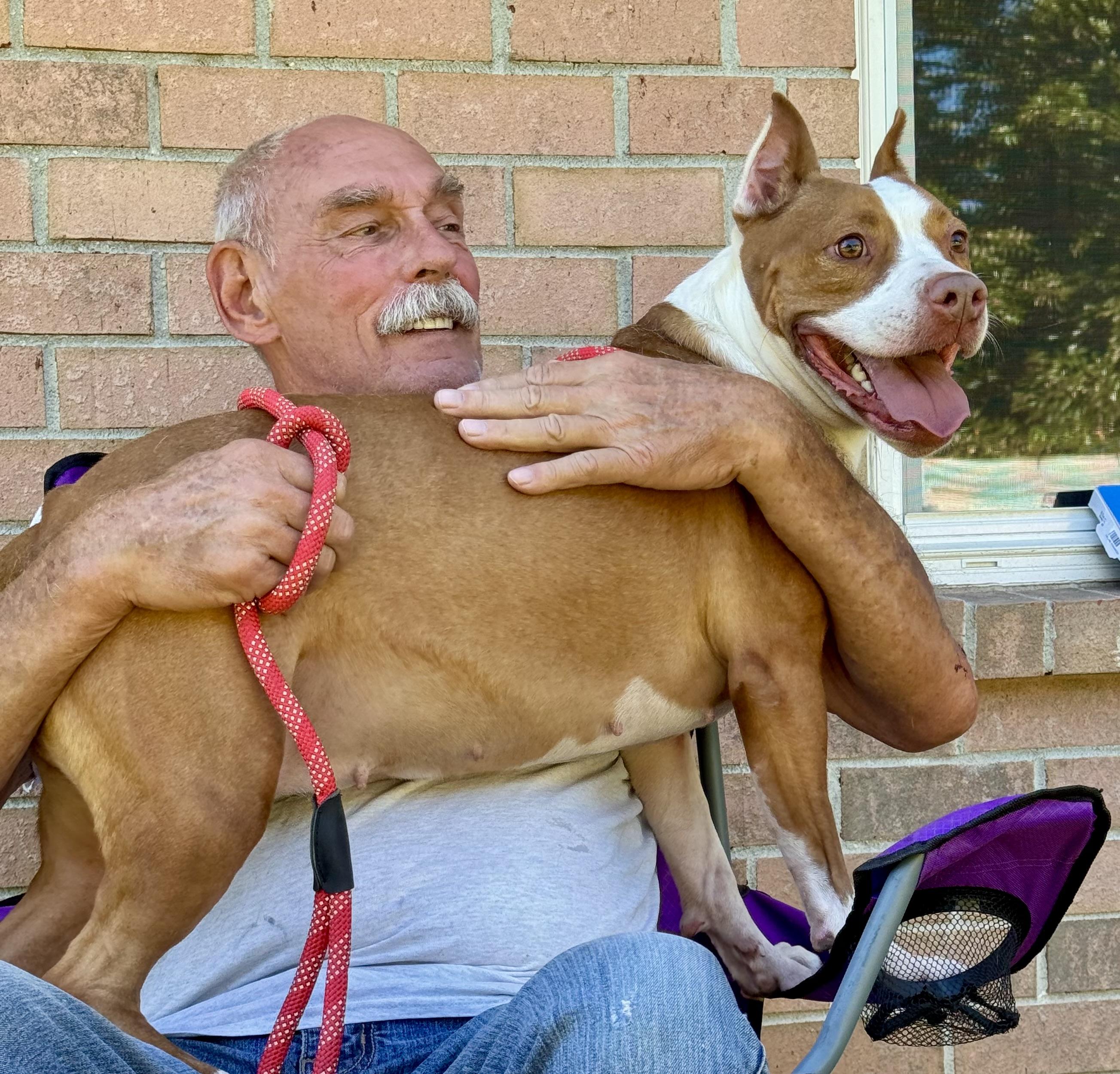 Enlarge SIMONE!!!  Powerhouse of LOVE!!!, a Adoptable mixed breed in Cantonment, FL image 1/6