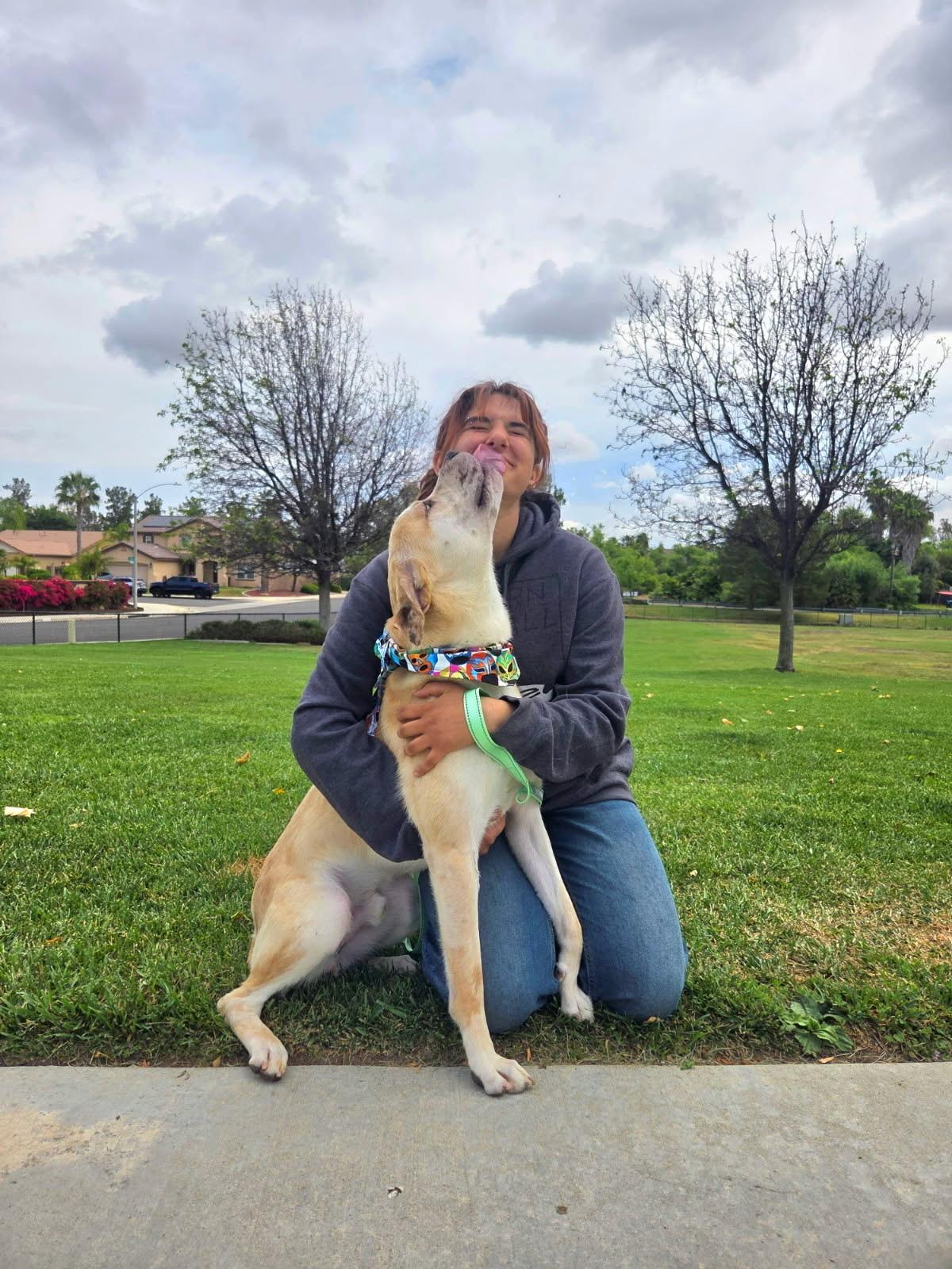 Enlarge Nick, a ADOPTABLE mixed breed in Murrieta, CA image 4/5