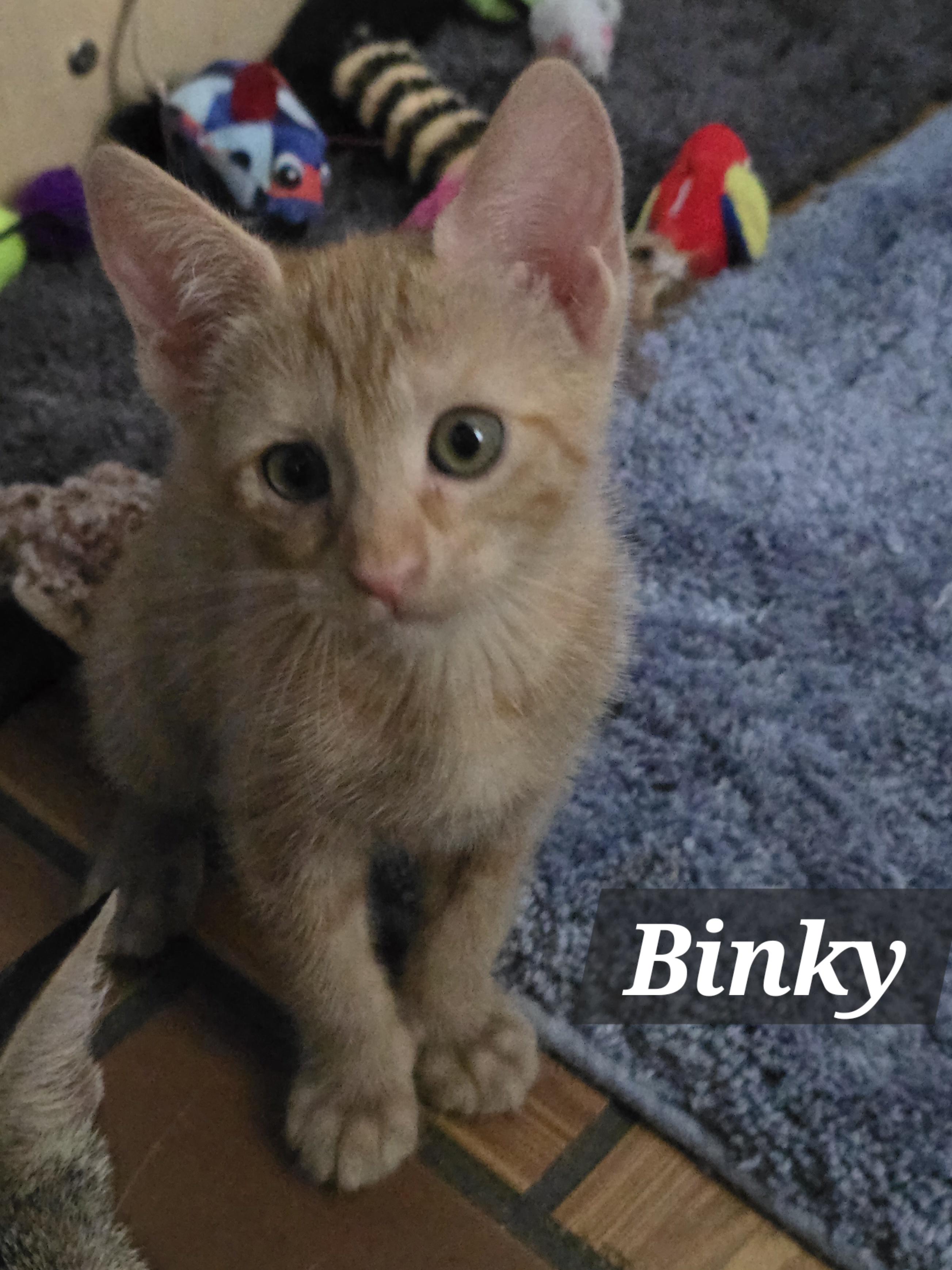 Bitsy & Babies (Part 2)