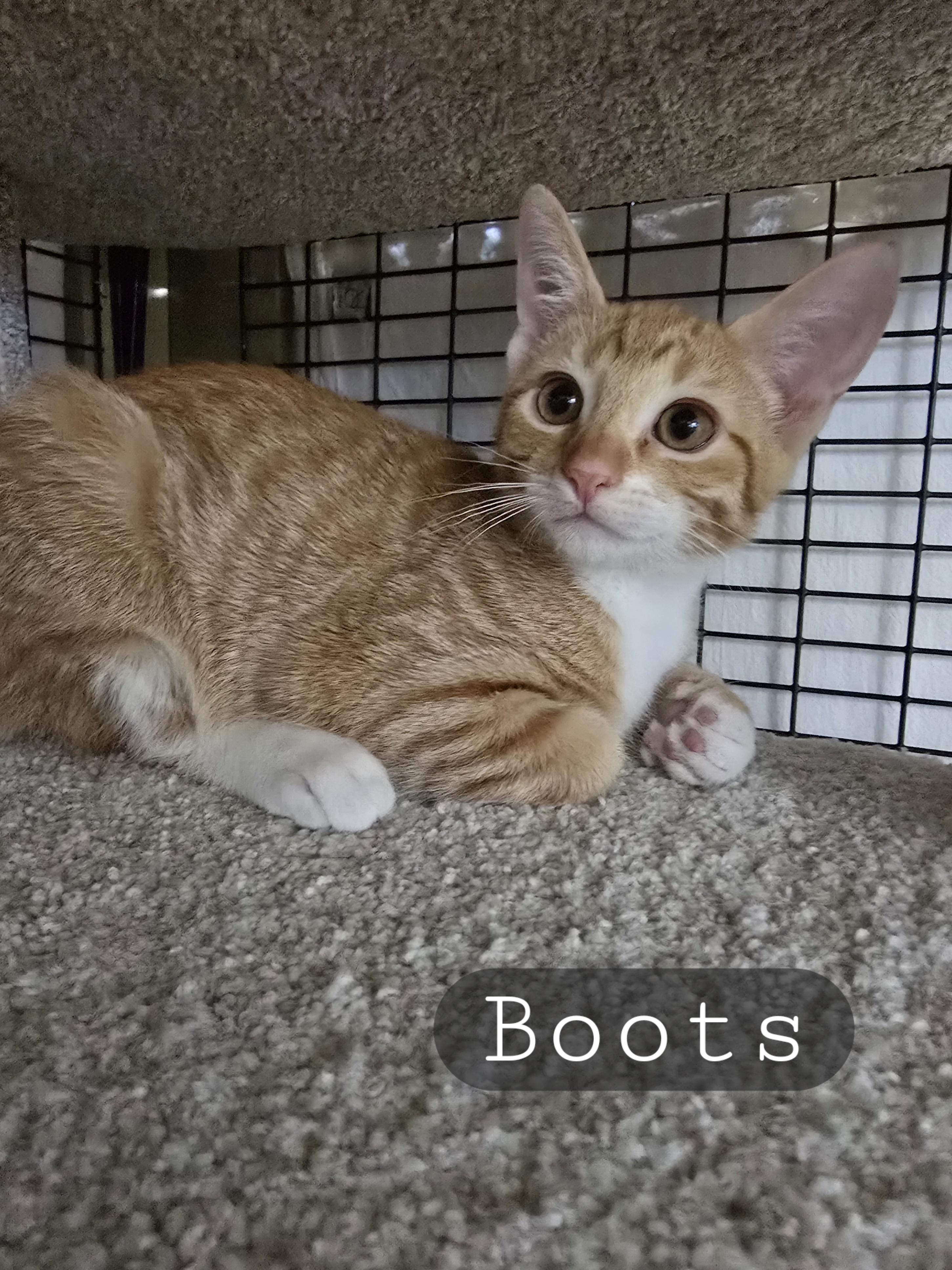 Bitsy & Babies (Part 2)