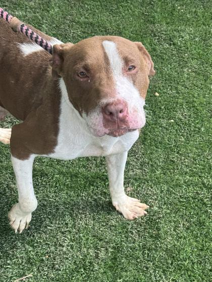 Momma — thumbnail 2