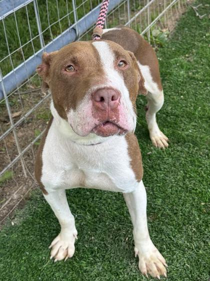 Momma — thumbnail 3