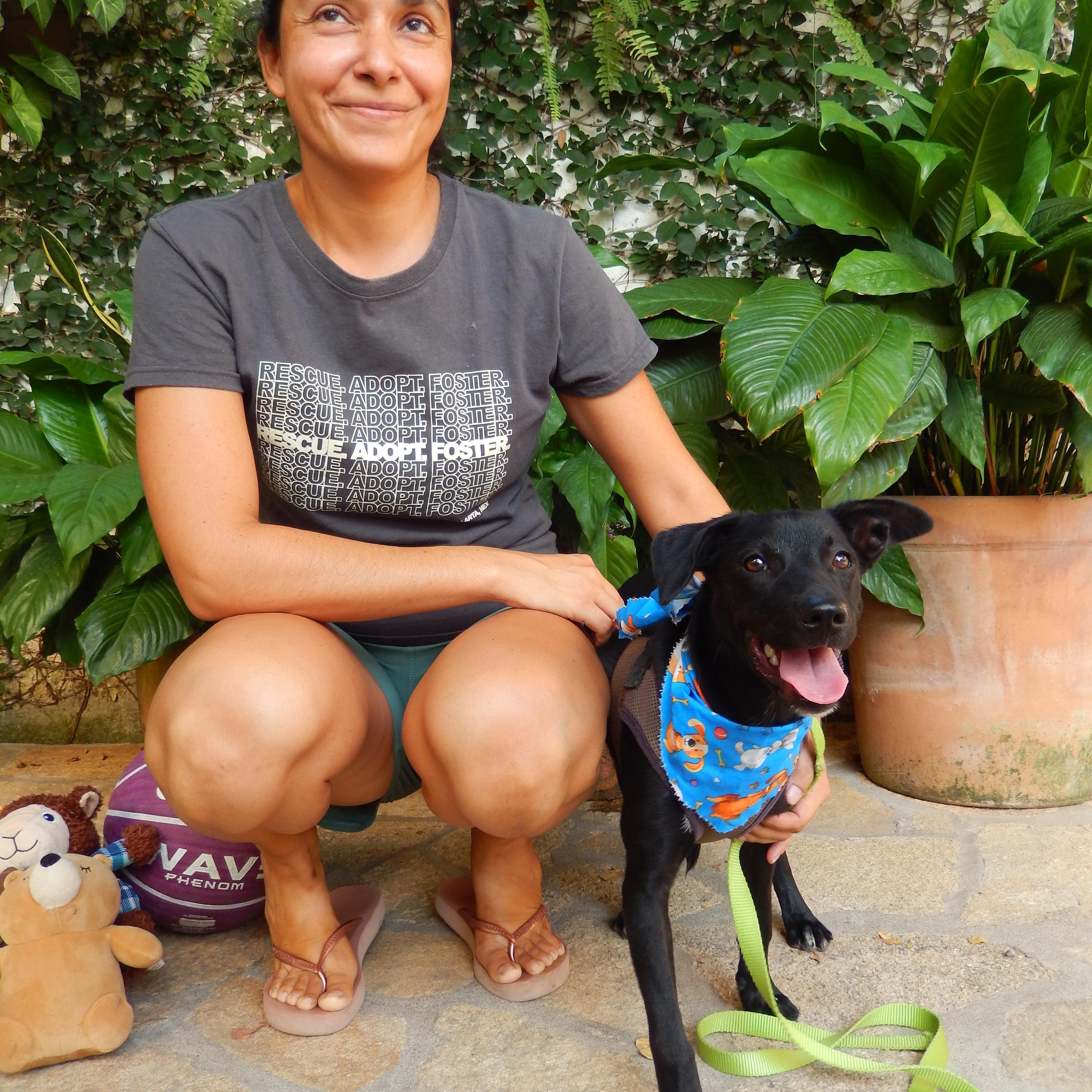 Berna, an adopted mixed breed in nanaimo, BC image 1/4