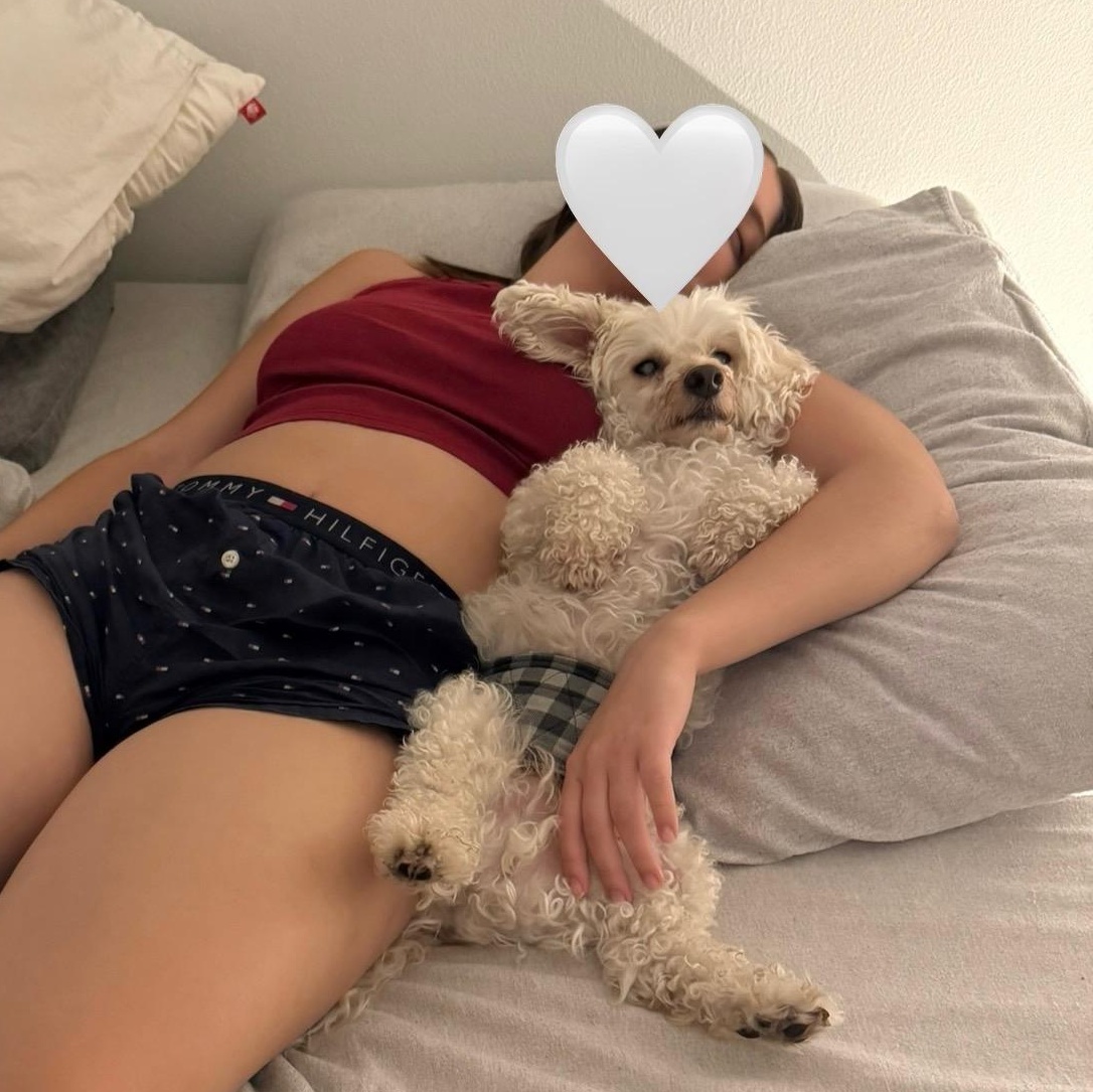 Enlarge Nanuk, a Adoptable mixed breed in Orange, CA image 6/6