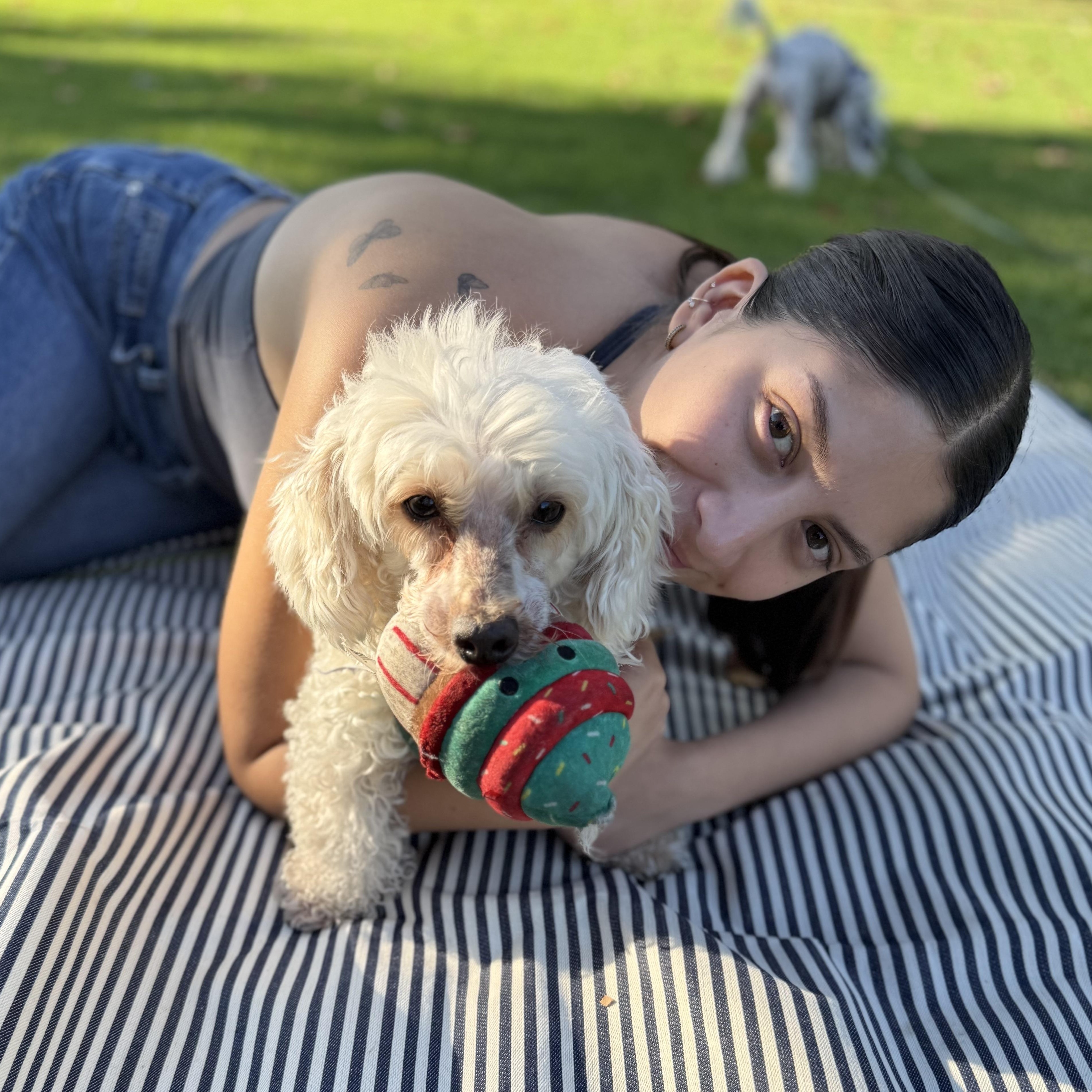 Enlarge Nanuk, a Adoptable mixed breed in Orange, CA image 3/6