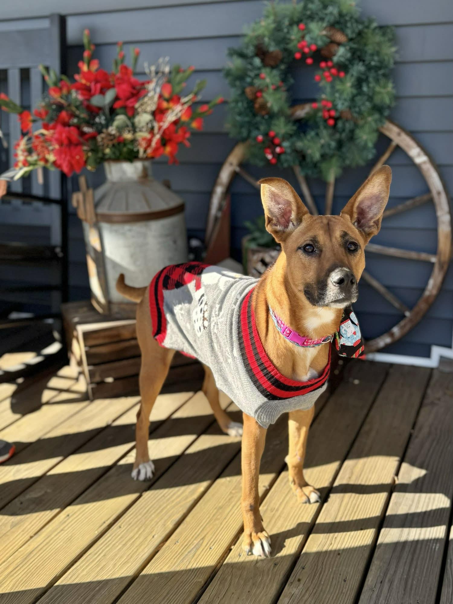 June — thumbnail 2