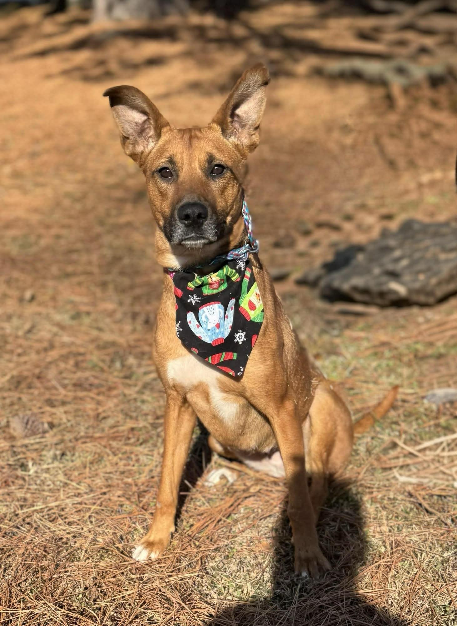 June — thumbnail 5