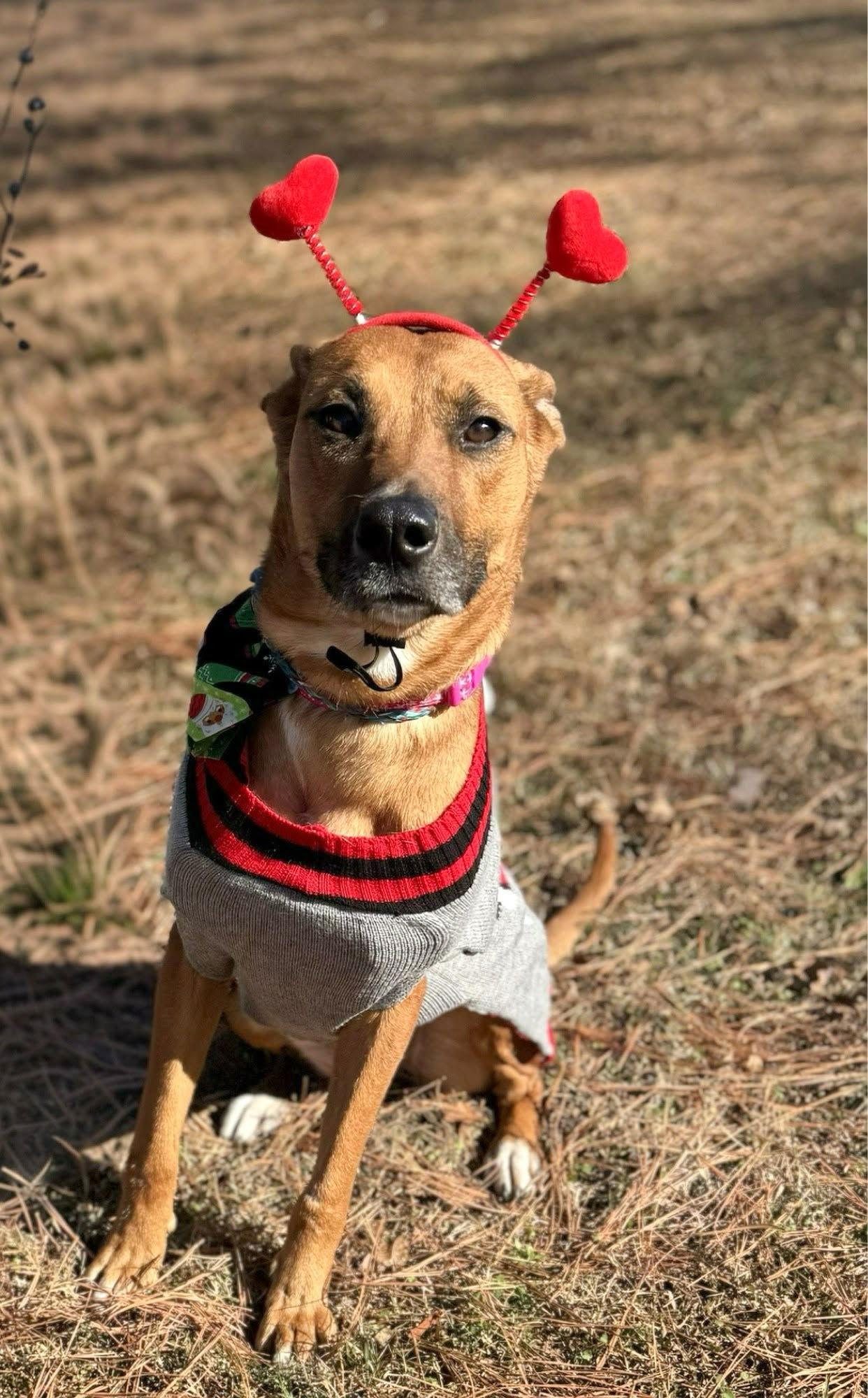 June — thumbnail 6