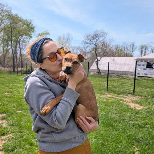 Enlarge Toby, a Adoptable mixed breed in Fishers, IN image 2/6